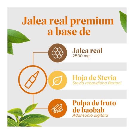 ARKOREAL JALEA REAL 1500 MG SIN AZUCAR 20 AMPOLLAS
