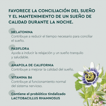 KNEIPP SUEÑO (CON PROBIOTICOS) 30 GUMMIES