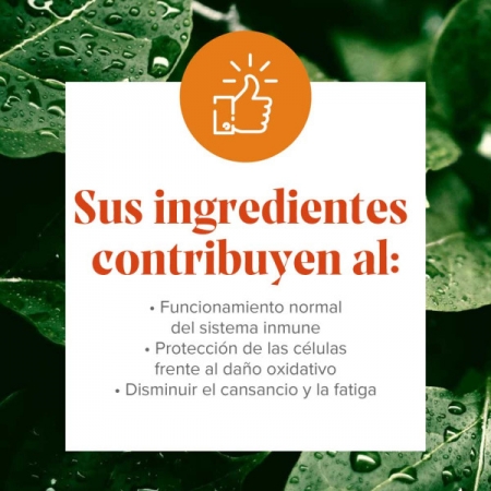 ARKOPHARMA VITAMINA C 1000 MG 40 COMPRIMIDOS EFERVESCENTES PACK
