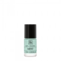 SOIVRE COSMETICS NAIL COLORS MINT 6 ML