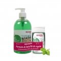 APOSAN GEL HIDROALCOHOLICO TE VERDE 500+50ML