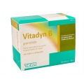 VITADYN B GRANULADO 40 STICKS