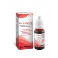 PUNTUALSENNA GOTAS 15 ML