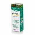 PROPOL 1 SPRAY ORAL 20 ML