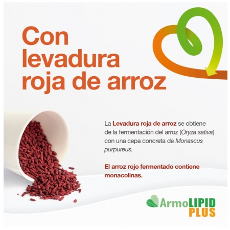 ARMOLIPID PLUS 60 COMPRIMIDOS