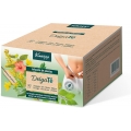 KNEIPP DELGATE INFUSION  40 BOLSITAS