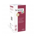 FERROPROTECT KIDS 1 ENVASE 120 ML SABOR FRESA