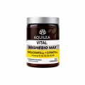 AQUILEA VITAL MAGNESIO MAX 120 CAPSULAS