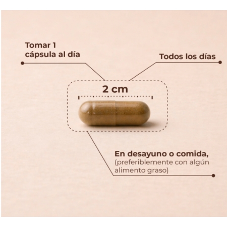 KOBHO CALM 60 CAPSULAS