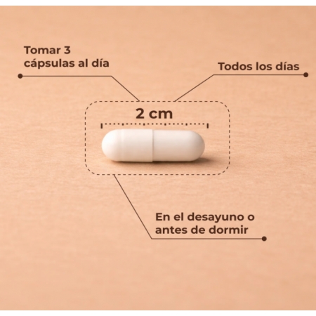KOBHO TRIMAGNESIUM 90 CAPSULAS